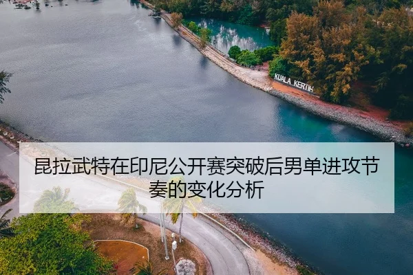 kun-la-wu-te-zai-yin-ni-gong-kai-sai-tu-po-hou-nan-dan-jin-gong-jie-zou-de-bian-hua-fen-xi-2-569.jpg