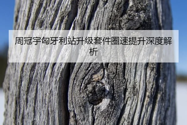 zhou-guan-yu-xiong-ya-li-zhan-sheng-ji-tao-jian-quan-su-ti-sheng-shen-du-jie-xi-3-685.jpg